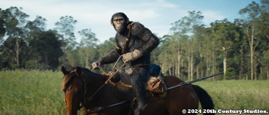 Kingdom of Planet of the Apes UHD 4K blu-ray anmeldelse
Kingdom of Planet of the Apes UHD 4K blu-ray anmeldelse