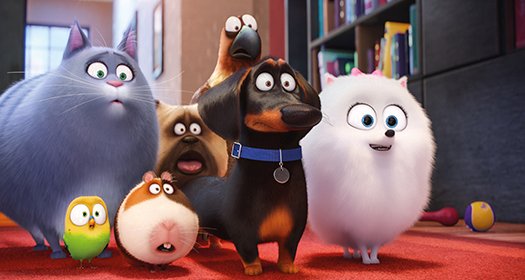 Kæledyrenes hemmelige liv blu-ray anmeldelse Kæledyrenes hemmelige liv blu-ray anmeldelse