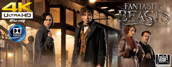 Fantastic Beasts and where to find them UHD 4K blu-ray anmeldelse Fantastic Beasts and where to find them UHD 4K blu-ray anmeldelse