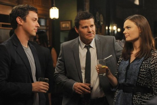 Bones sæson 9 dvd anmeldelse Bones sæson 9 dvd anmeldelse