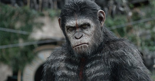 Dawn of the Planet of the Apes blu-ray anmeldelse Dawn of the Planet of the Apes blu-ray anmeldelse