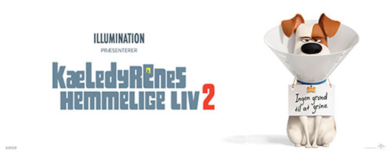 Kæledyrenes hemmelige liv 2 blu-ray anmeldelse Kæledyrenes hemmelige liv 2 blu-ray anmeldelse