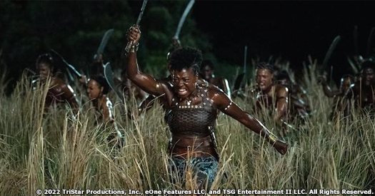 The Woman King blu-ray anmeldelse